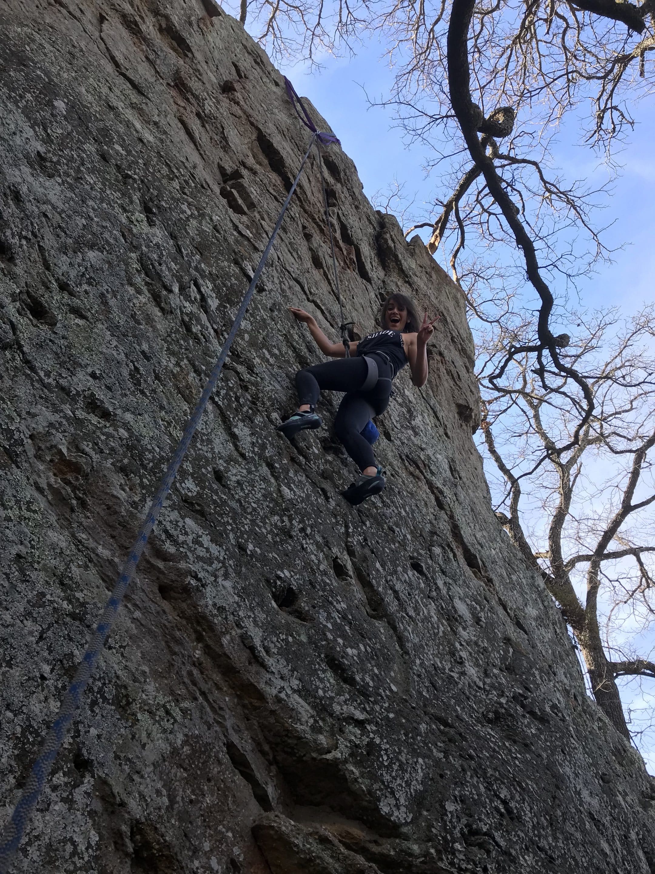 Rock Climbing Blossom Bologna